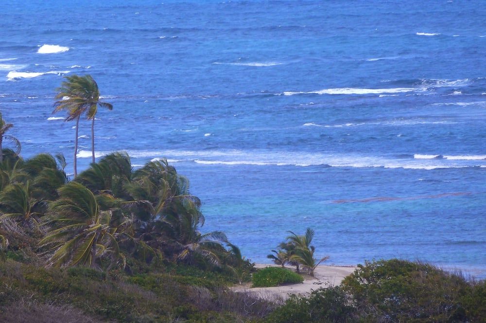 Home-styled cottage on Nevis with spectacular views of the Caribbean Sea - Newcastle - Plage
