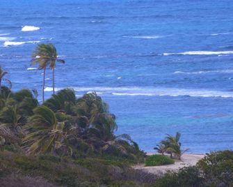 Home-styled cottage on Nevis with spectacular views of the Caribbean Sea - Newcastle - Plage