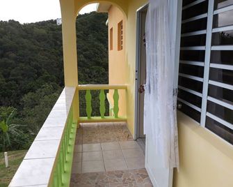 Spacious 1 bedroom Apartment to rent in Montserrat West Indies. - Montserrat - Balcón