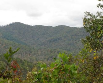 A Little Slice of Smokey Mountain Heaven with Wifi - Franklin - Vista del exterior
