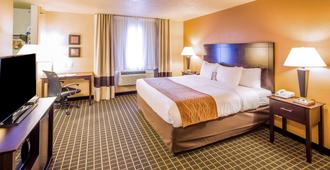 Comfort Inn and Suites Gunnison-Crested Butte - Gunnison - Bedroom