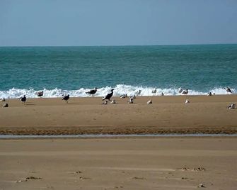 Villa Frivole - Saint-Palais-sur-Mer - Playa