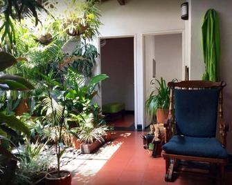 Saman Hostel - Medellín - Patio