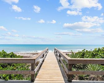 Ocean 23 - Swaying Seaweed - Indian Harbour Beach - Beach