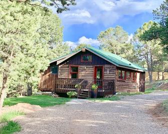 Private Cabin and Hot Tub in the Woods - Carbondale - Building