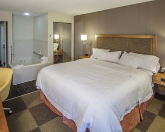 Hampton Inn South Haven - South Haven - Bedroom