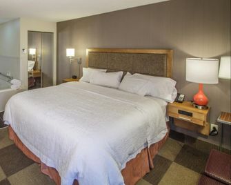 Hampton Inn South Haven - South Haven - Camera da letto
