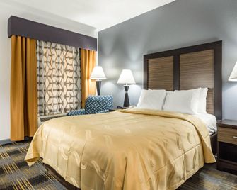 Quality Inn near Six Flags - Douglasville - Soveværelse