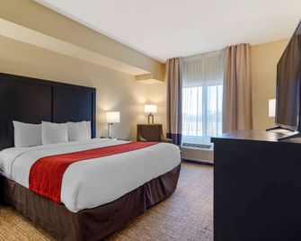 Comfort Inn and Suites Montgomery Eastchase - מונטגומרי - חדר שינה