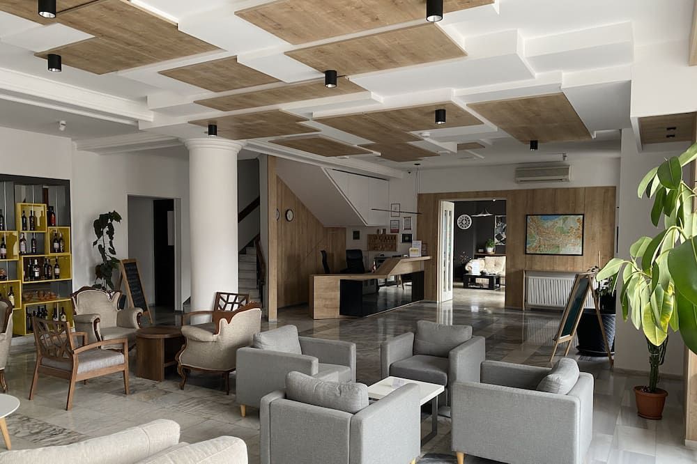 فندق ألايانس - تبليسي - ردهة