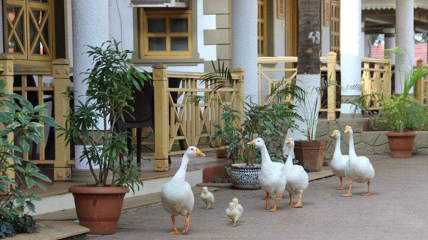 Golden Swan Beach Resort