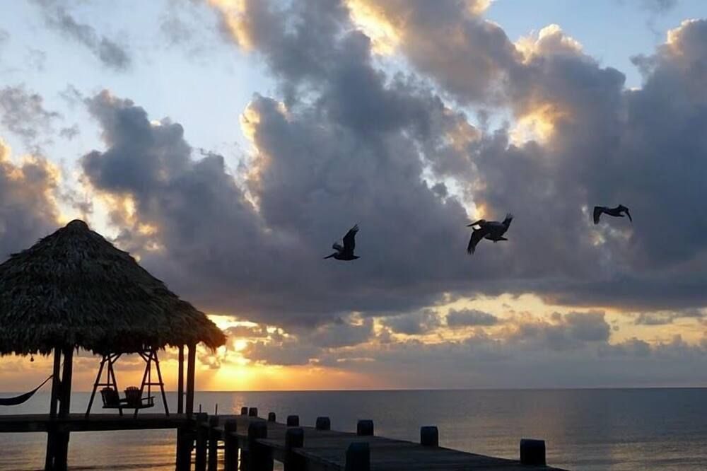 فندق مايا بيتش - بليسنشا - شاطئ