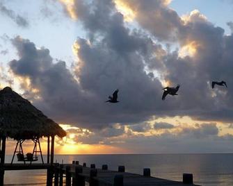 Maya Beach Hotel - Placencia - Strand