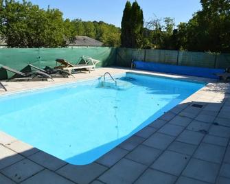 Les Gites De La Chapiniere - Saint-Aignan - Pool