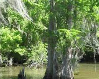 4 Bedroom 2 Bathroom spontaneous home - Houma - Extérieur