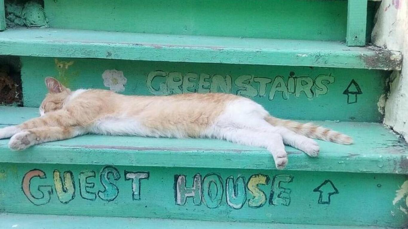 Green Stairs Guest house