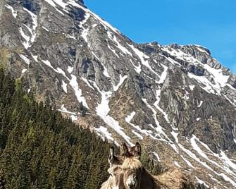 B&B Chalet Brigitte Hike & Bike - Arabba