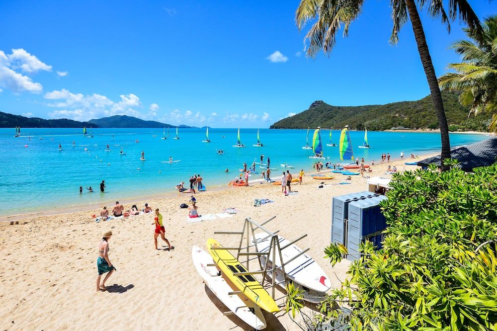 Superior Poinciana 011 On Hamilton Islan - Hamilton Island - Strand