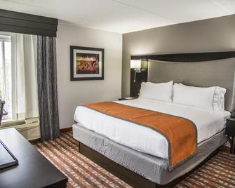 Holiday Inn Express & Suites Nashville Southeast - Antioch By IHG - Antioch - Bedroom