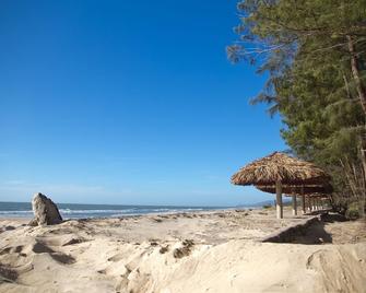 The Beach House Resort - Vung Tau - Beach