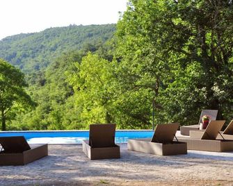 Traditional Stone House Kotli - Buzet - Pool