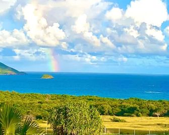 Mount Nevis Hotel - Newcastle