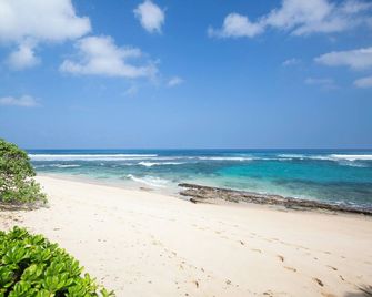 Ymca - Camp Erdman - Waialua - Beach