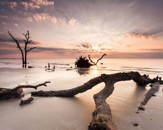 Peaceful Beaufort Guest House, Perfect For Couples Or Families - Beaufort - Plage