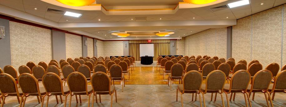 Holiday Inn Plainview-Long Island - Plainview - Meeting room