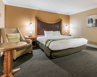 Quality Inn & Suites Atlanta Airport South - College Park - Soveværelse