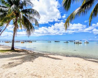 Moorea - Tropical Soul - Haapiti - Beach