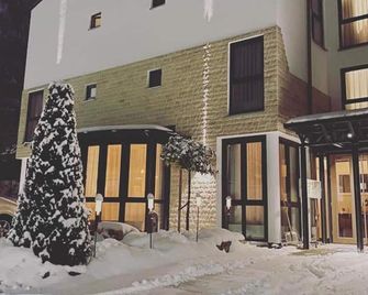 Safranberg Hotel & Sauna - Ульм - Будівля