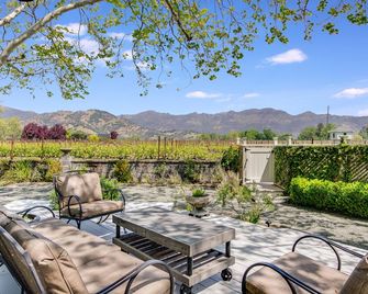 Chateau de Vie - קליסטוגה - פטיו