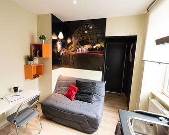 Splendide Studio Centre Colmar - Colmar - Huiskamer