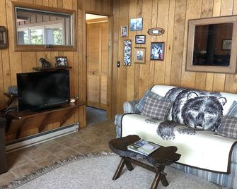 Oasis On a Beautiful, Private Adirondack Lake - Long Lake - Sala de estar