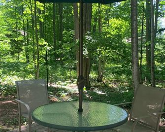 Harbor Springs 2 Bedroom Cottage Close to Boyne Highlands & Nubs Nob - Harbor Springs - Patio