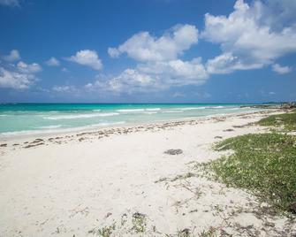 Island Breeze Beach Villa - Duncans - Beach