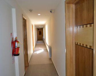 Plaza Paradiso Petit Hotel - Chacras de Coria - Chodba