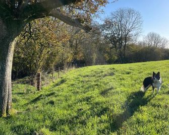 Higher Melcombe Manor - Dorchester