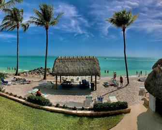 Crisp & Clean Condo, Steps to Beach & Pool in Key Colony Beach - Ground Floor - Key Colony Beach - Beach