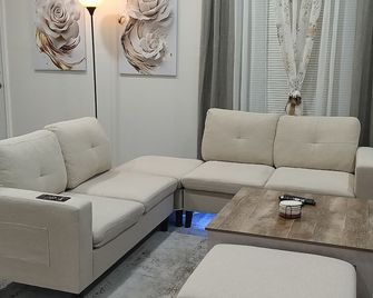 Cozy 2-bedroom apartment with AC, WiFi in charming Detroit - Detroit - Sala de estar
