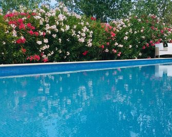 Beautiful Country Villa With Luxury Swimming Pool And Relaxing Hot Tub - Ourique - Pool