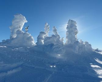 White Crystal Inn - Big White - Property amenity