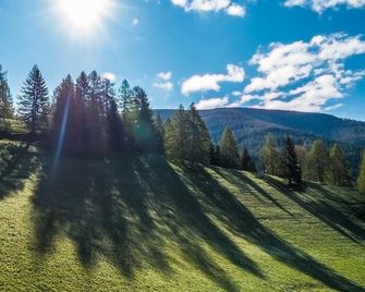 Familienhotel Gasthof Hinteregger - Bad Kleinkirchheim - Näkymät ulkona