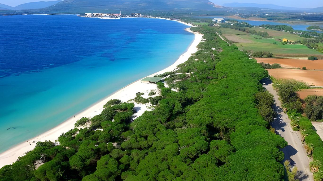 هوتل أواسيز