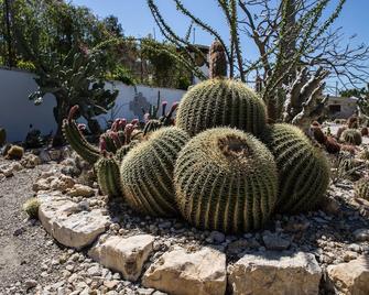 Relais Garden Cactus B&B - Favara - Edificio