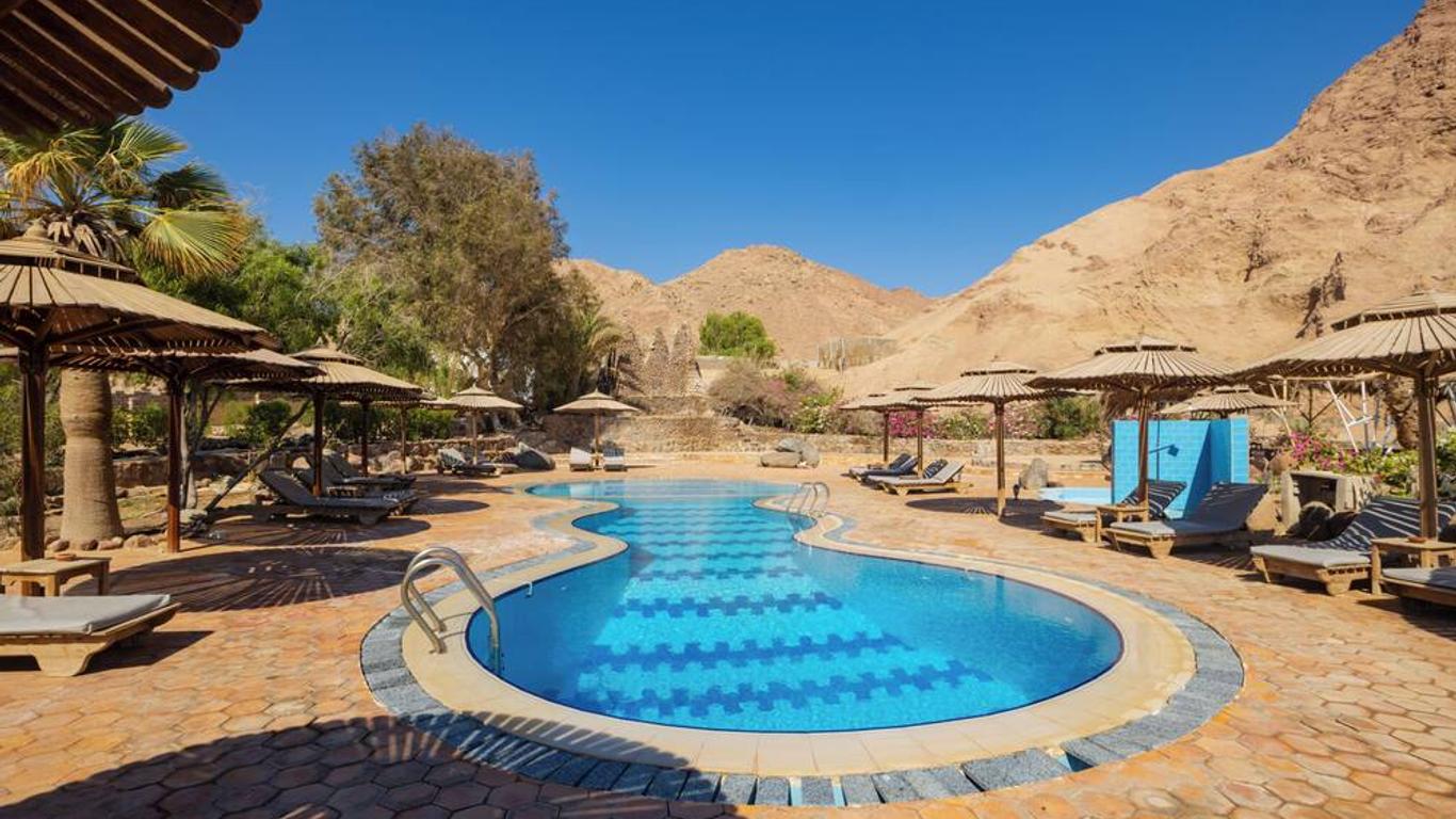 The Bedouin Moon