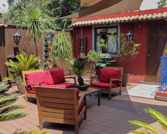 La Casita de Coyoacán - מקסיקו סיטי - פטיו