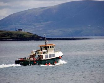 Dingle Benners Hotel - Dingle