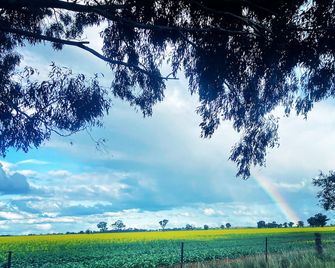 Wings Field - relaxing family farm stay - Tocumwal - Außenansicht